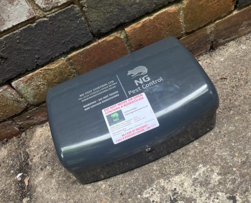 Nottingham Pest Control Inspection Certificate - NG Pest Control